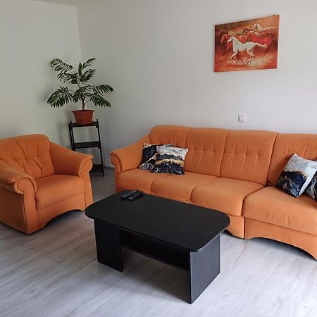 Osilnica Apartma Ginga מראה חיצוני תמונה