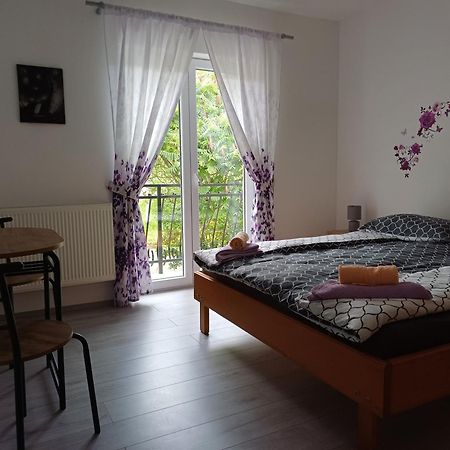 Osilnica Apartma Ginga מראה חיצוני תמונה