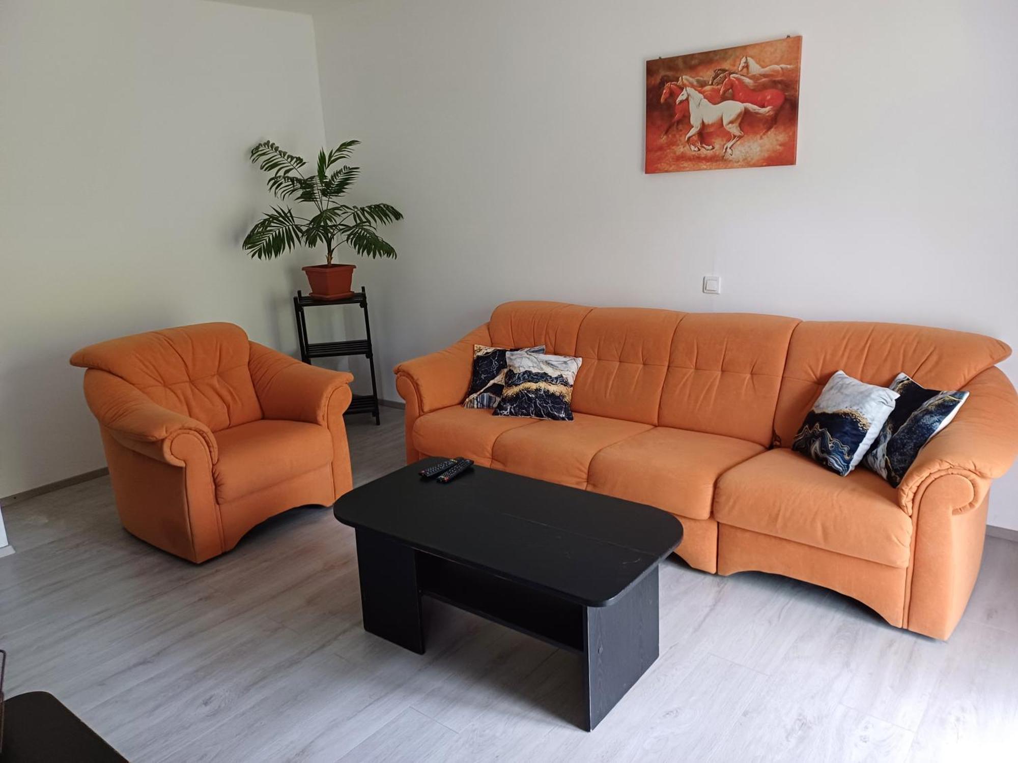 Osilnica Apartma Ginga מראה חיצוני תמונה
