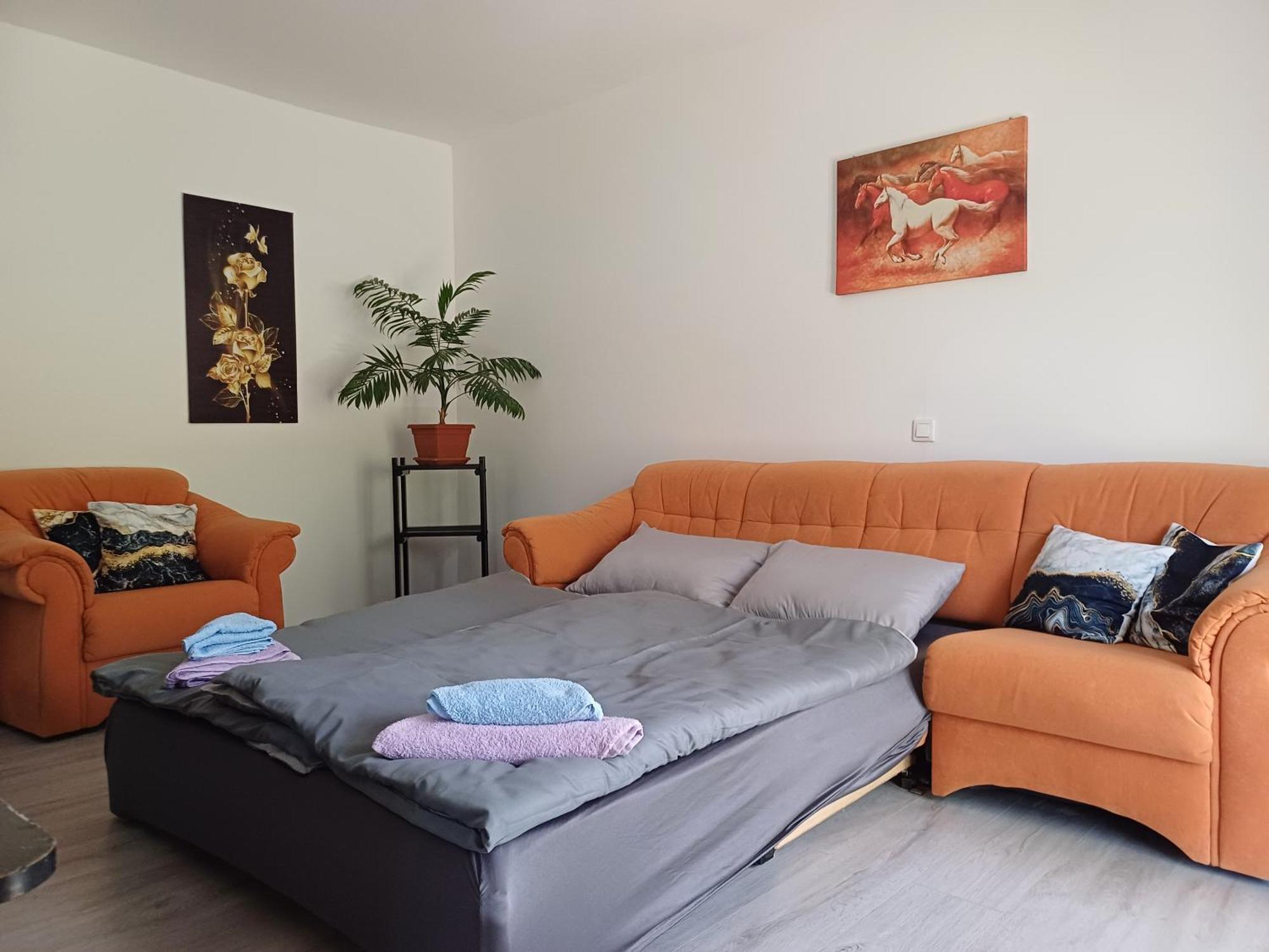 Osilnica Apartma Ginga מראה חיצוני תמונה